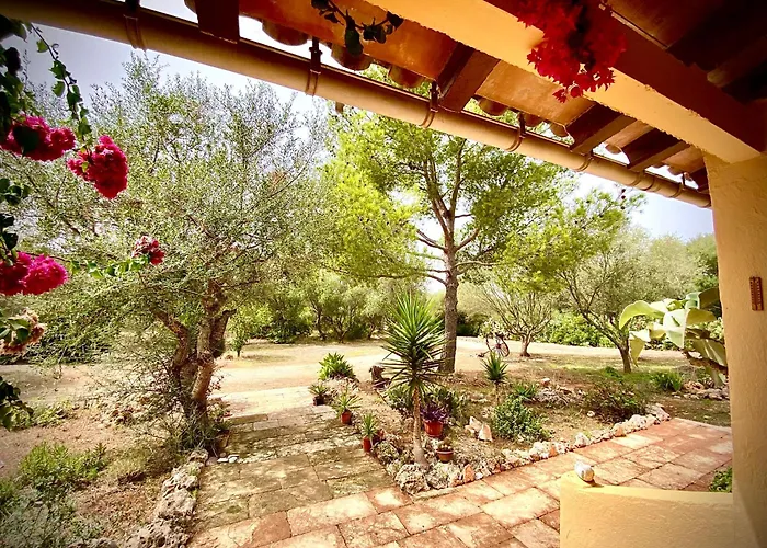 Casa De Estrella